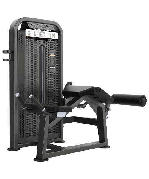 دستگاه پشت ران خوابیده DHZ مدل U3001D-K